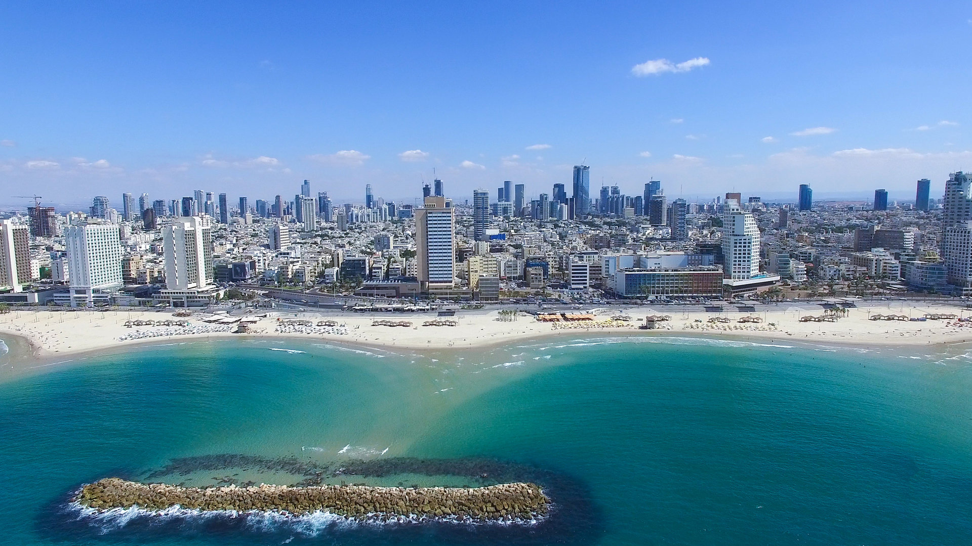 Tel-Aviv : la ville la plus cynophile au monde